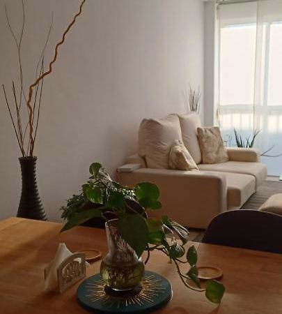 Apartamento Entero De Tres Habitaciones, Cerca De La Playa! Acogedor, Luminoso Y Tranquilo Malgrat de Mar Εξωτερικό φωτογραφία